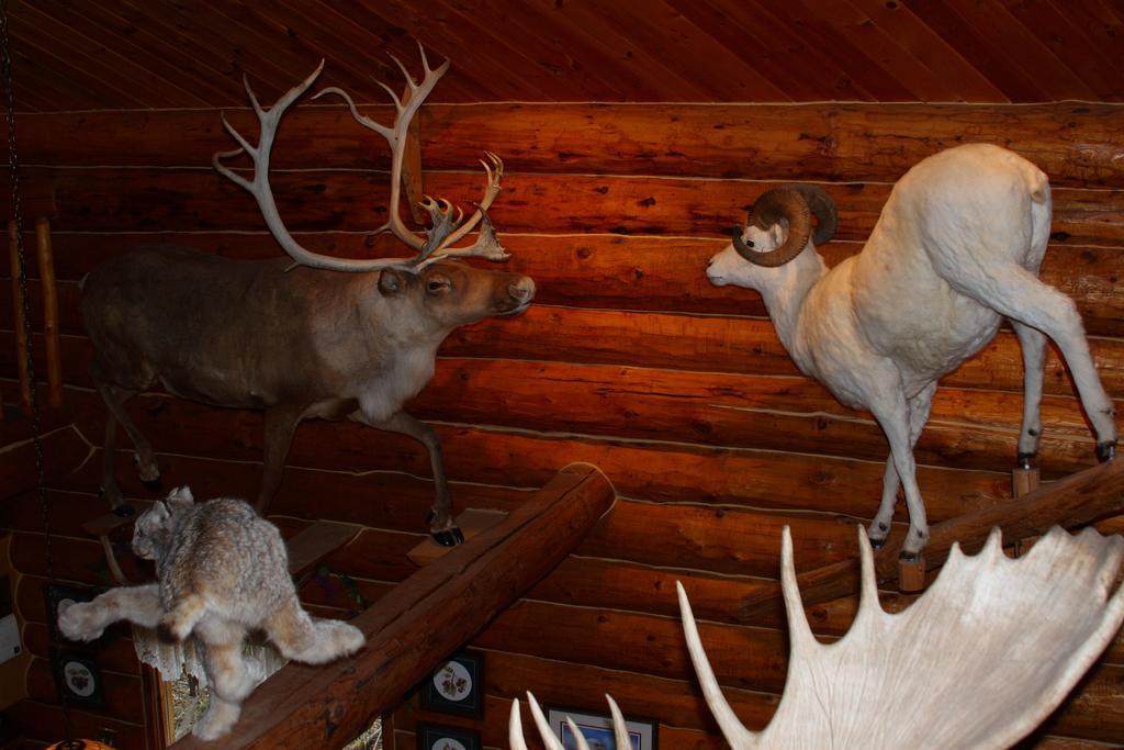 Wise Old Hunter Lodge Anchor Point Room photo